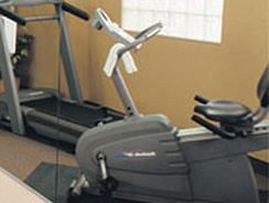 Fitness and Wellness