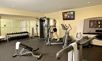 Fitness and Wellness