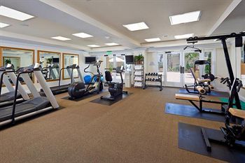 Fitness and Wellness