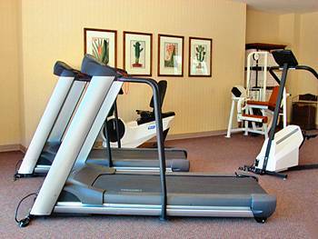 Fitness and Wellness