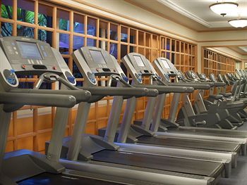 Fitness and Wellness