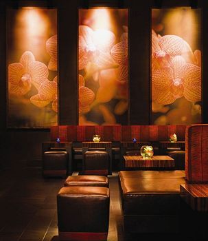 Lounge/Bar