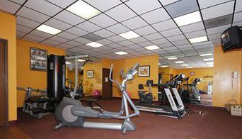 Fitness and Wellness