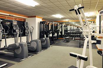 Fitness and Wellness