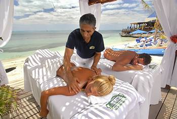 Fitness and Wellness