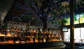 Lounge/Bar