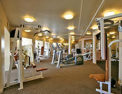 Fitness and Wellness