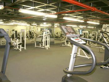 Fitness and Wellness