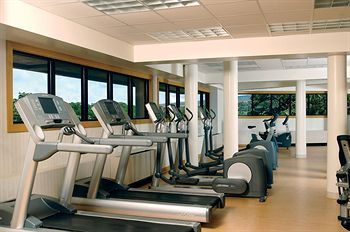 Fitness and Wellness