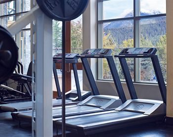 Fitness and Wellness