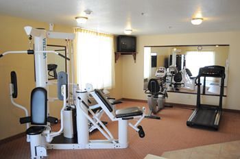Fitness and Wellness