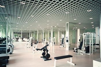 Fitness and Wellness