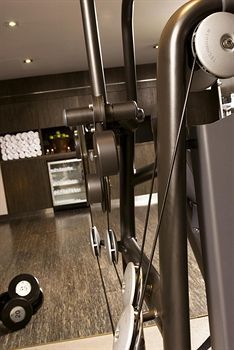 Fitness and Wellness
