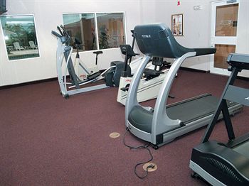 Fitness and Wellness