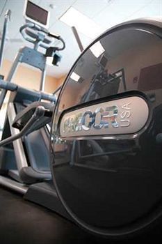 Fitness and Wellness