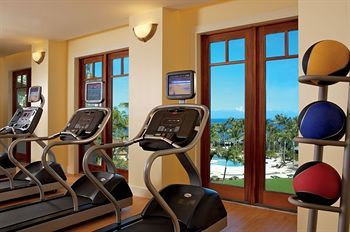 Fitness and Wellness