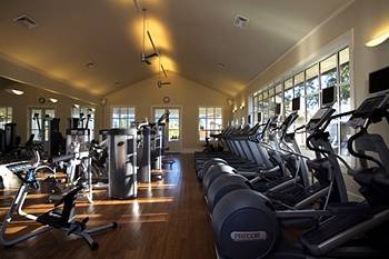 Fitness and Wellness
