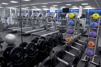 Fitness and Wellness