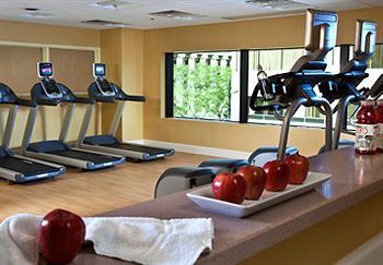 Fitness and Wellness