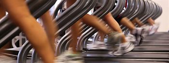 Fitness and Wellness