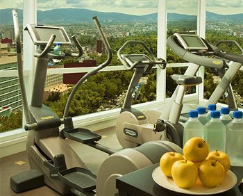 Fitness and Wellness