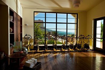 Fitness and Wellness