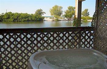 Fitness and Wellness