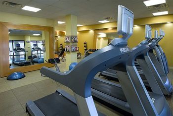 Fitness and Wellness