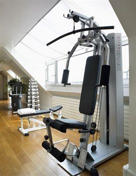 Fitness and Wellness